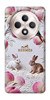 Чехол на Oppo Reno 12 F 4G/5G Hermes фото 1 из 1