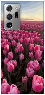 Чехол на Samsung Galaxy Note 20 Ultra Spring Awakening фото 1 из 1