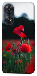 Чохол на Oppo Reno 8T 4G Мак фото 1 з 1