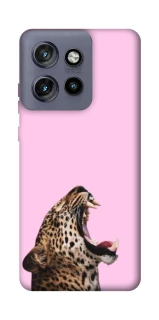 Чехол на Motorola Edge 50 Neo Leopard Meow фото 1 из 1