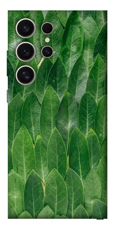 Чехол на Samsung Galaxy S25 Ultra Листья фото 1 из 1