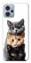Чехол на Motorola Moto G23 Красивые котики фото 1 из 1