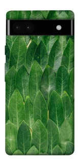 Чехол на Google Pixel 6a Листья фото 1 из 1