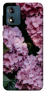Чехол на Motorola Moto E13 Розовые гартензии фото 1 из 1
