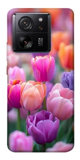Чохол на Xiaomi 13T Тюльпанове поле фото 1 з 1