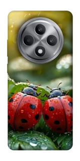 Чохол на Oppo Reno 12 F 4G Flowers v23 фото 1 з 1