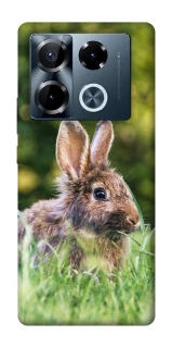 Чехол на Infinix Note 40 Pro 4G Кролики фото 1 из 1