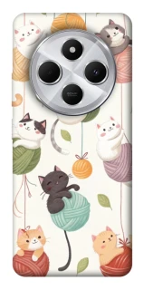 Чехол на Xiaomi Redmi 14C / Poco C75 Funny Kittens фото 1 из 1