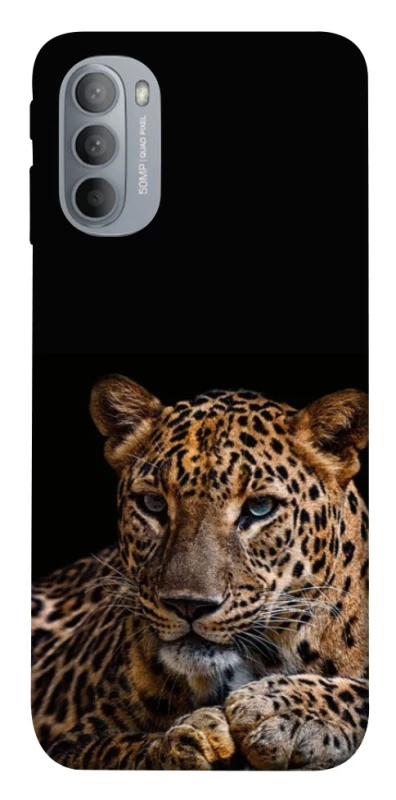 Чохол на Motorola Moto G31 Leopard v4 фото 1 з 1