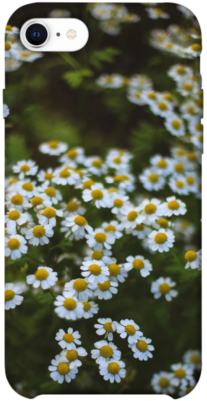 Чехол на Apple iPhone SE (2020) Ромашки v13 фото 1 из 1