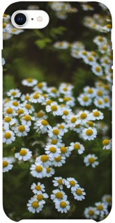 Чехол на Apple iPhone SE (2020) Ромашки v13 фото 1 из 1
