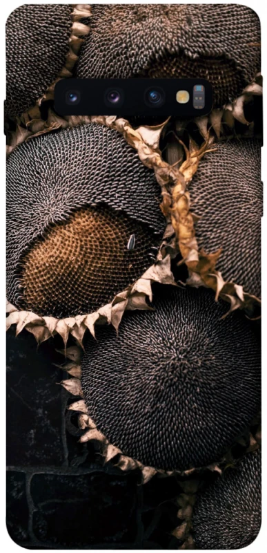 Чохол на Samsung Galaxy S10 Dreams2 фото 1 з 1