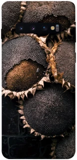 Чохол на Samsung Galaxy S10 Dreams2 фото 1 з 1