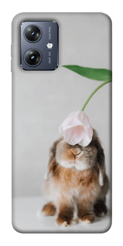 Чохол на Motorola Moto G54 Bunny фото 1 з 1