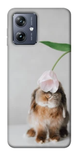 Чохол на Motorola Moto G54 Bunny фото 1 Чохол на Motorola Moto G54 Bunny фото 1 з 1