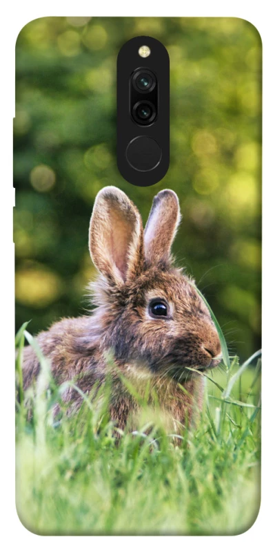 Чохол на Xiaomi Redmi 8 Кролики фото 1 з 1