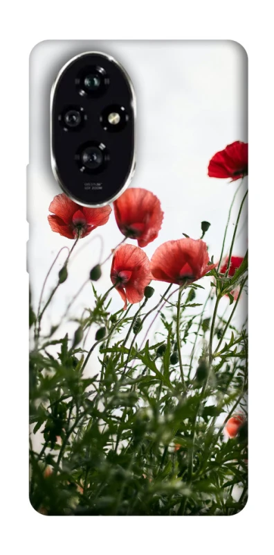 Чохол на Honor 200 Поле маків фото 1 з 1