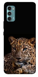 Чехол на Motorola Moto G60 Leopard v4 фото 1 из 1