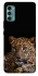 Чохол на Motorola Moto G60 Leopard v4 фото 1 з 1