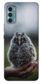 Чохол на Motorola Moto G60 Совеня фото 1 з 1