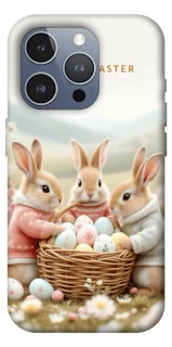 Чехол на Apple iPhone 16 Pro Max BunnyMood фото 1 из 1