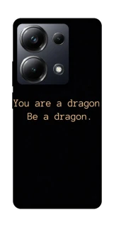 Чехол на Xiaomi Poco M6 Pro 4G House of the Dragon ver.9 фото 1 из 1