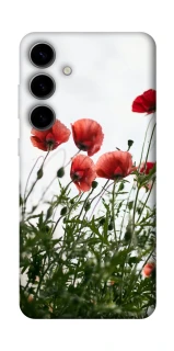 Чохол на Samsung Galaxy S25 FE Поле маків фото 1 з 1