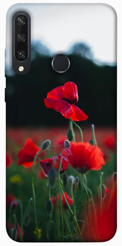 Чехол на Huawei Y6p Мак фото 1 из 1