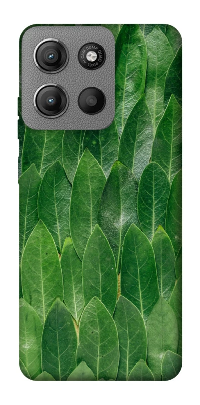 Чехол на Motorola Moto G15 Power Листья фото 1 из 1