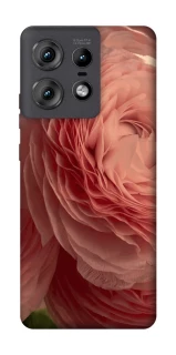 Чохол на Motorola Edge 50 Pro Elegance фото 1 з 1