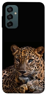 Чохол на Samsung Galaxy M14 5G Leopard v4 фото 1 з 1