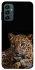 Чохол на Samsung Galaxy M14 5G Leopard v4 фото 1 з 1