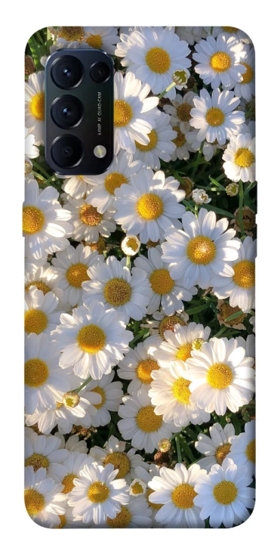 Чохол на Oppo Reno 5 4G Поле ромашок фото 1 з 1