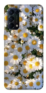 Чохол на Oppo Reno 5 4G Поле ромашок фото 1 з 1