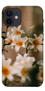 Чохол на Apple iPhone 12 mini (5.4") Лілії фото 1 з 1