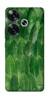 Чехол на Xiaomi Poco F6 Листья фото 1 из 1