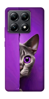 Чохол на Xiaomi 14T Кіт-підглядач фото 1 з 1
