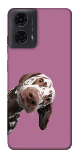 Чехол на Motorola Moto G04 А что тут фото 1 из 1