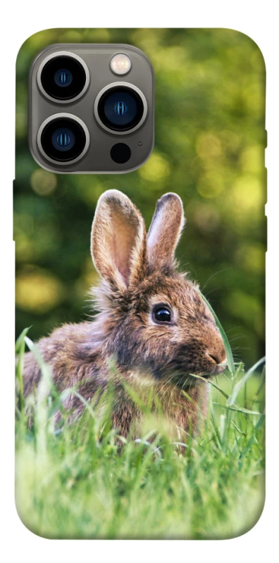 Чохол на Apple iPhone 13 Pro (6.1") Кролики фото 1 з 1