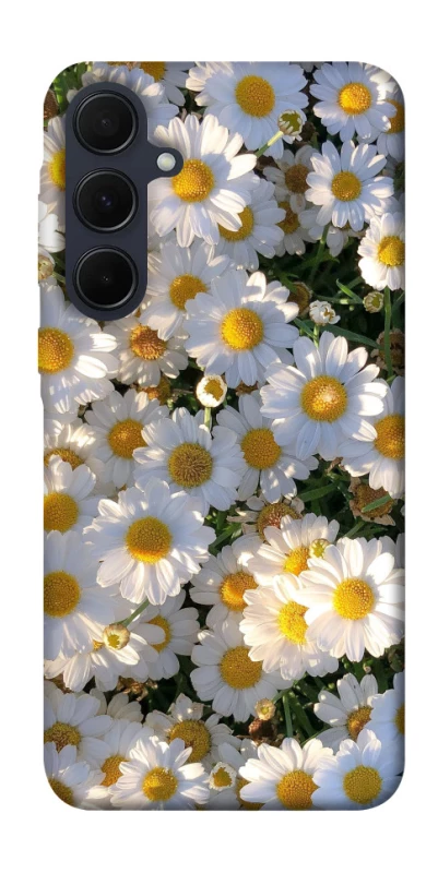 Чохол на Samsung Galaxy A35 Поле ромашок фото 1 з 1