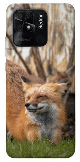 Чехол на Xiaomi Redmi 10C Лиса фото 1 из 1