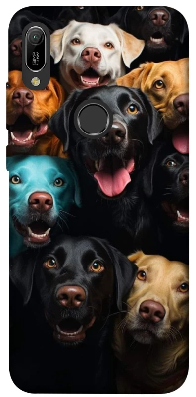 Чехол на Huawei Y6 (2019) Собаки фото 1 из 1