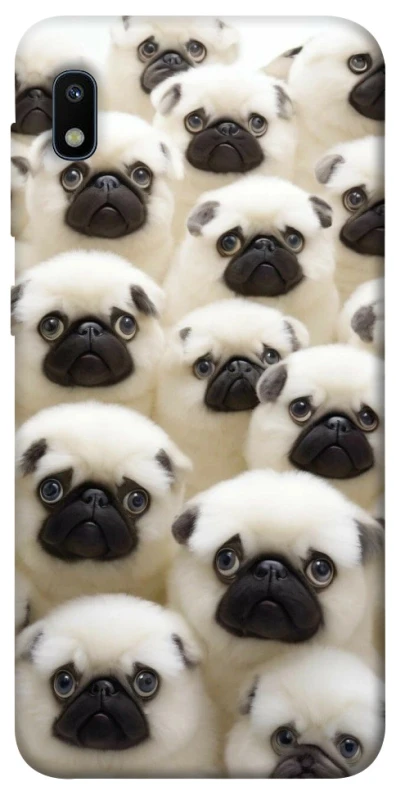 Чохол на Samsung Galaxy A10 (A105F) Doggy Pug Love фото 1 з 1