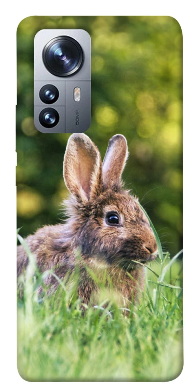 Чехол на Xiaomi 12 / 12X Кролики фото 1 из 1