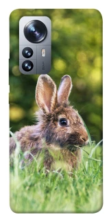 Чехол на Xiaomi 12 / 12X Кролики фото 1 из 1