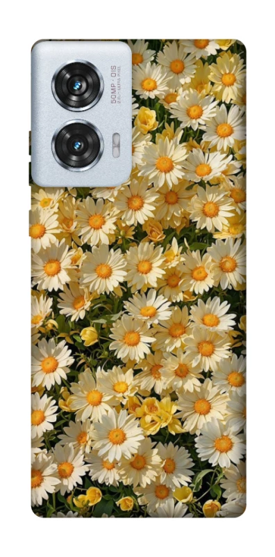 Чохол на Motorola Edge 50 Fusion Camomile фото 1 з 1
