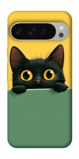 Чохол на Google Pixel 9 Pro XL Black cat v2 фото 1 з 1