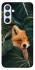 Чохол на Samsung Galaxy A54 5G Fox фото 1 з 1