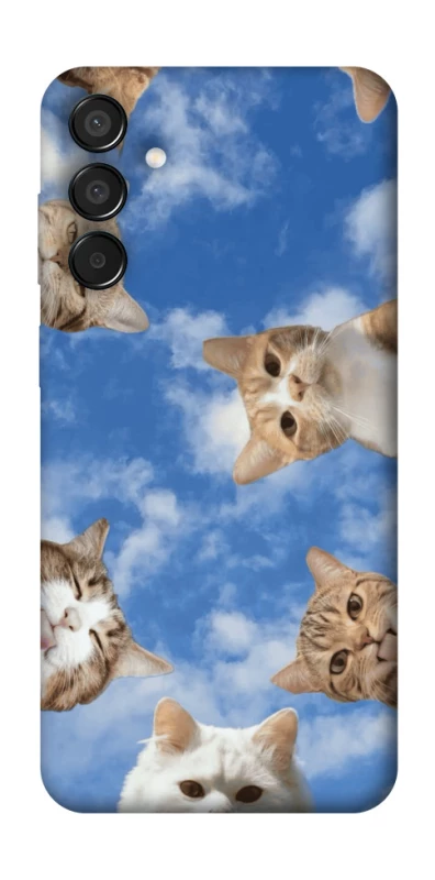 Чохол на Samsung Galaxy M15 5G Сats фото 1 з 1