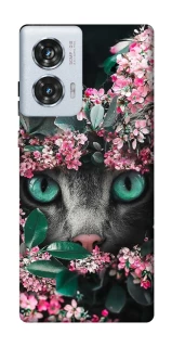 Чохол на Motorola Edge 50 Fusion Кіт в квітах фото 1 з 1